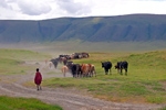 Tanzania: Masai and Cattle in Ngorongoro Crater